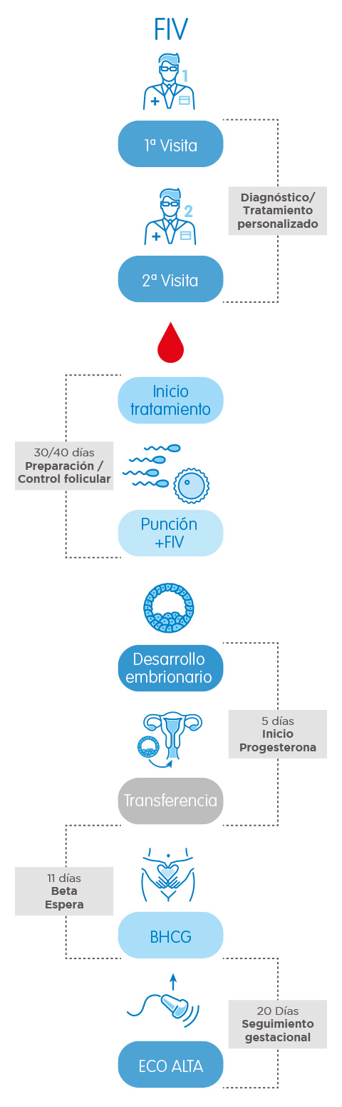 Cuando se realiza la fecundacion in vitro Cuando se realiza la fecundacion in vitro