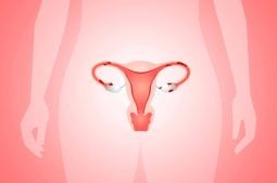 ¿Qué es un útero bicorne?