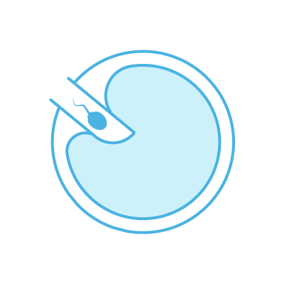 Inseminación